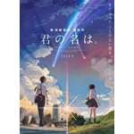 Your Name - Romanzo