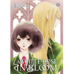 A White Rose in Bloom n° 01