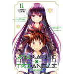 Ayakashi Triangle n° 11