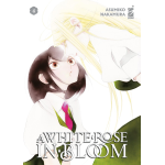 A White Rose in Bloom n° 04 