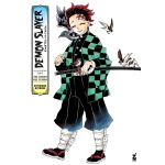 Demon Slayer - Illustration Book: Nel corso del tempo 